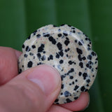 Dalmatian Jasper Crystal Flower Worry Stone