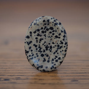 Dalmatian Jasper Crystal Worry Stone