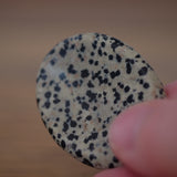 Dalmatian Jasper Crystal Worry Stone