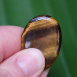 Tigers Eye Crystal Worry Stone